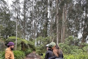 Madeira: ATV or QUAD off-road private adventure Santana