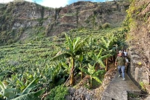 Madeira: Guidad tur på bananplantage med provsmakning