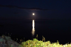 Madeira: Kerkuil kijken