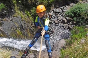 Madeira: Beginner (Level 1) Canyoning Experience