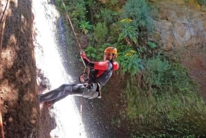 Madeira: Beginner (Level 1) Canyoning Experience