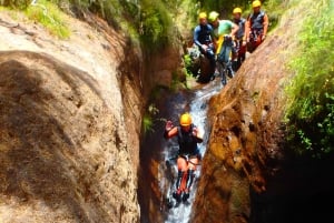 Madeira: Beginner (Level 1) Canyoning Experience