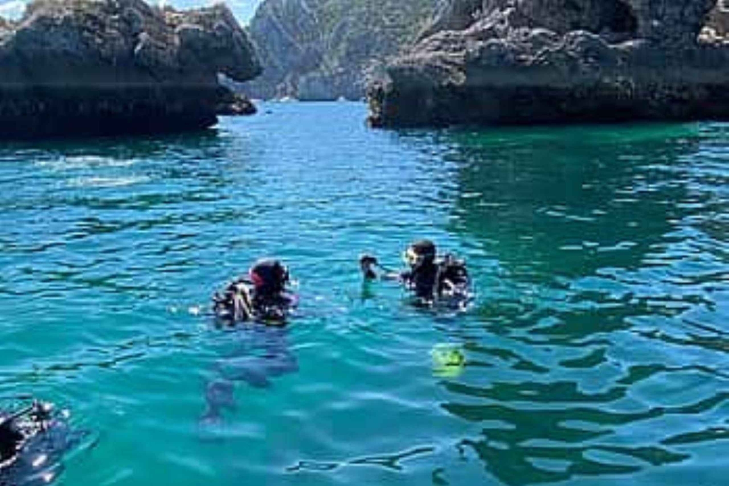 Madeira: dykking for nybegynnere fra Porto Santo-øya