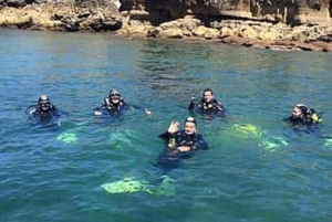 Madeira: dykking for nybegynnere fra Porto Santo-øya