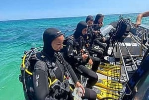 Madeira: dykking for nybegynnere fra Porto Santo-øya