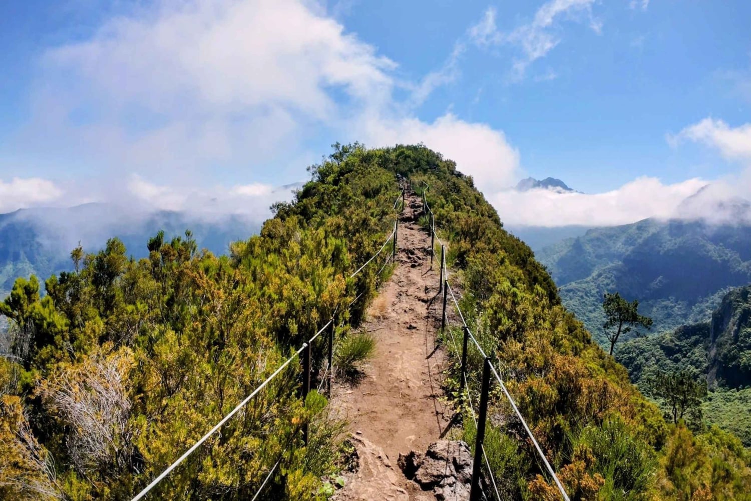 Madeira: Guidet vandretur fra Bica da Cana til Encumeada med afhentning