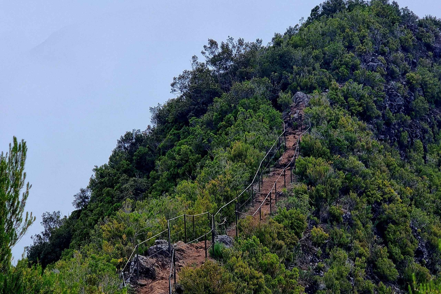 Madeira: Guidet vandretur fra Bica da Cana til Encumeada med afhentning