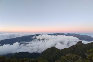Madeira: Guidet vandretur fra Bica da Cana til Encumeada med afhentning