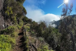 Madeira: Guidet vandretur fra Bica da Cana til Encumeada med afhentning