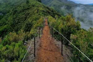 Madeira: Guidet vandretur fra Bica da Cana til Encumeada med afhentning