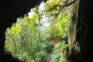 Madeira: Guidet vandretur fra Bica da Cana til Encumeada med afhentning