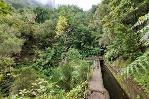 Madeira: Guidet vandretur fra Bica da Cana til Encumeada med afhentning