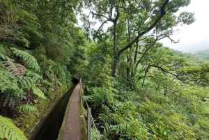 Madeira: Guidet vandretur fra Bica da Cana til Encumeada med afhentning