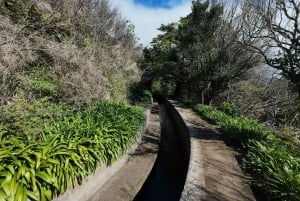 Madeira: Guidet vandretur fra Bica da Cana til Encumeada med afhentning