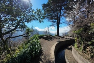 Madeira: Bica da Cana to Encumeada Private Hike with Pickup