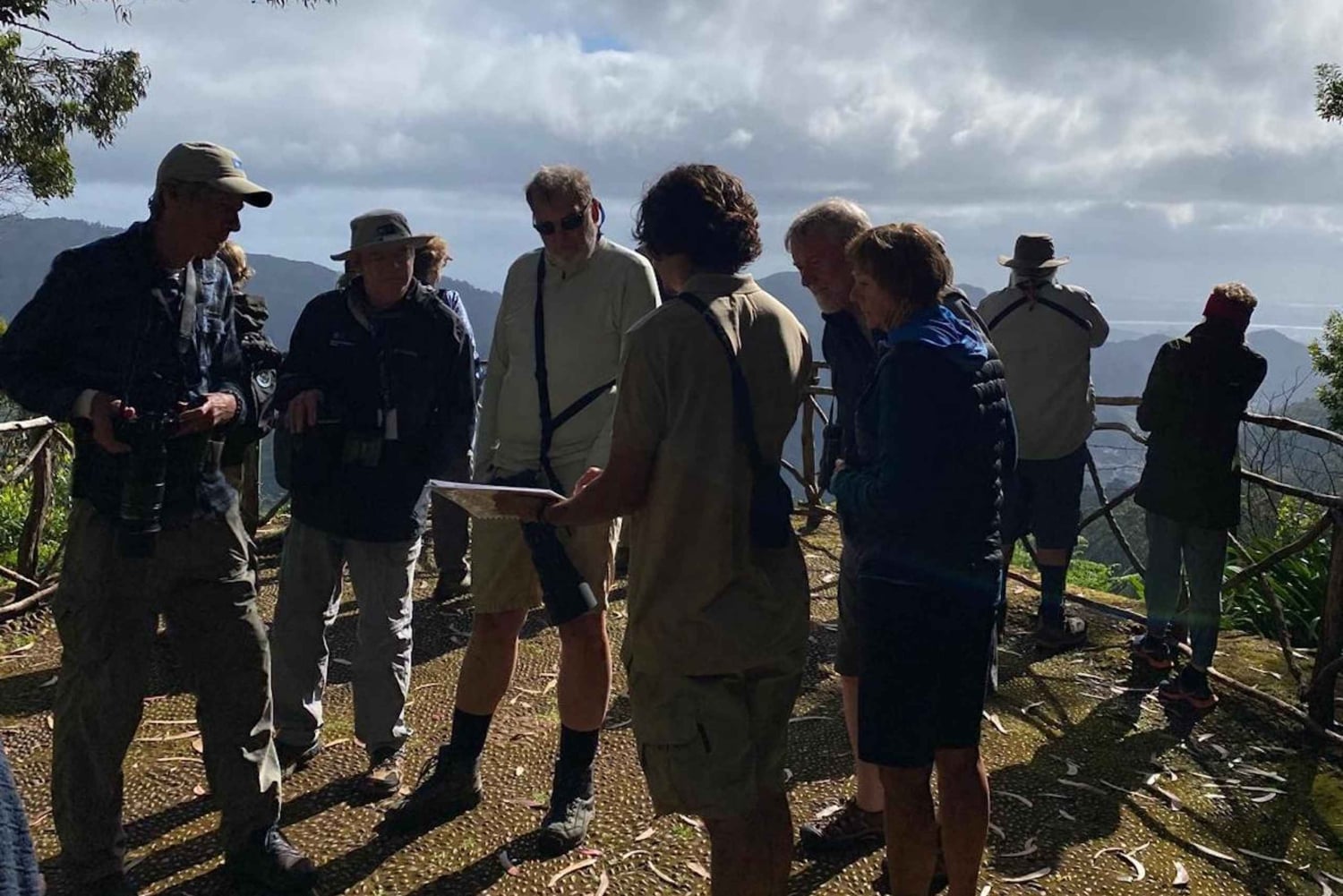 Madeira: Observación de Aves - Las Endémicas