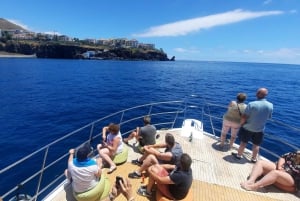 Madeira: Boat Trip with Lunch, Drinks, and Hotel Transfer