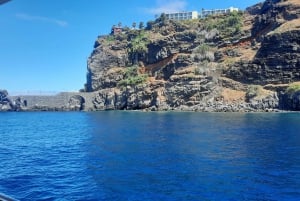 Madeira: Boat Trip with Lunch, Drinks, and Hotel Transfer