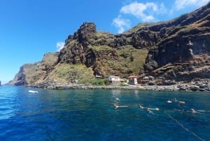 Madeira: Boat Trip with Lunch, Drinks, and Hotel Transfer