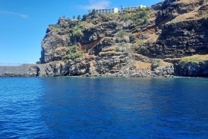Madeira: Boat Trip with Lunch, Drinks, and Hotel Transfer