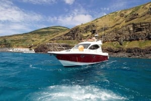 Madeira: Boat trip