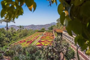 Madeira: Botanical Gardens Tuk-Tuk Tour