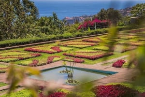 Madeira: Botanical Gardens Tuk-Tuk Tour