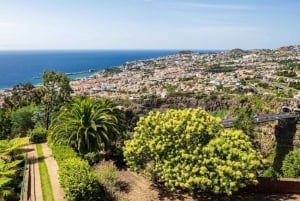 Madeira: Botanical Gardens Tuk-Tuk Tour