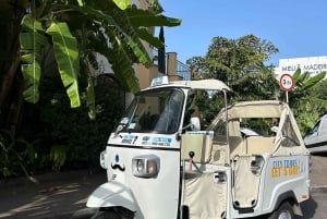 Madeira: Botanical Gardens Tuk-Tuk Tour