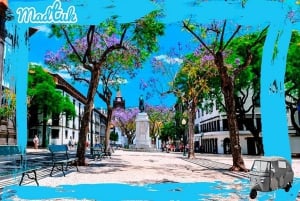 Madeira: Botanical Gardens + Old Town Tuk-Tuk Tour by MadTuk