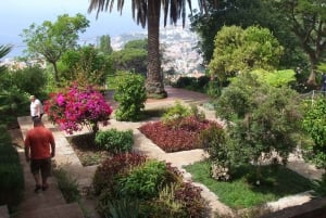 Madeira: Botaniska trädgården, Monte Palace och Palheiro