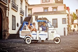 Madeira: Botaniska trädgården, Monte Palace och Palheiro