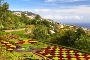 Madeira: Botaniska trädgården, Monte Palace och Palheiro