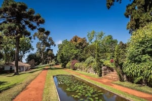 Madeira: Botaniska trädgården, Monte Palace och Palheiro