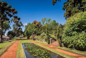 Madeira: Botanischer Garten, Monte Palace und Palheiro-Garten
