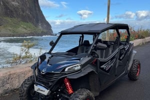 Madeira: Tour fuoristrada in buggy (4 posti)