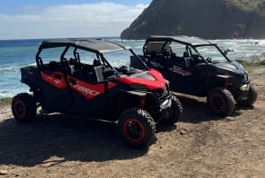 Madeira: Tour fuoristrada in buggy (4 posti)