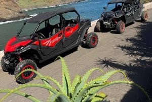 Madeira: Tour fuoristrada in buggy (4 posti)