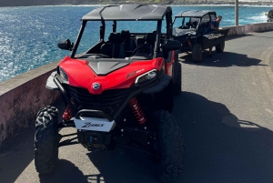 Madeira: Tour fuoristrada in buggy (4 posti)