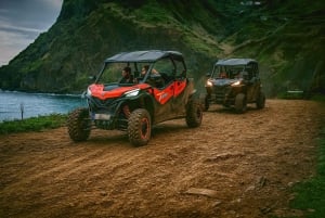 Madeira: Tour fuoristrada in buggy (4 posti)
