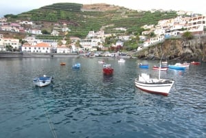 Madeira by Sidecar: 5-Hours Old Roads to Calheta Tour