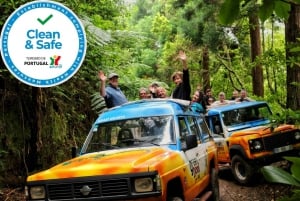 Madeira : Cabo Girao and Camara de Lobo 4WD half-day Tour