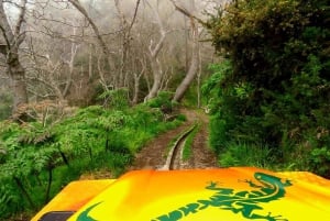 Madeira : Cabo Girao and Camara de Lobo 4WD half-day Tour