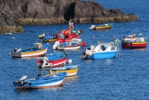 Madeira : Cabo Girao and Camara de Lobo 4WD half-day Tour