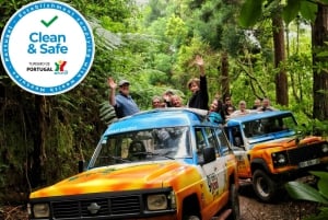 Madeira : Cabo Girao en Camara de Lobo 4WD halfdaagse tour