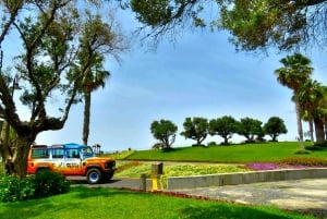Madeira : Cabo Girao en Camara de Lobo 4WD halfdaagse tour