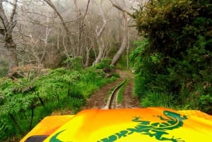 Madeira : Cabo Girao en Camara de Lobo 4WD halfdaagse tour