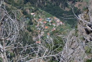 Madeira : Cabo Girao en Camara de Lobo 4WD halfdaagse tour
