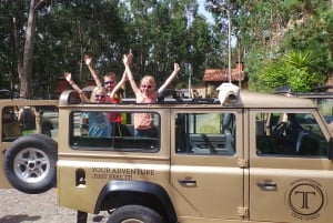 Madeira: Cabo Girao, Jeep Tour Adventure and Wine Tasting