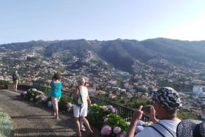 Madeira: Cabo Girao, Jeep Tour Adventure and Wine Tasting